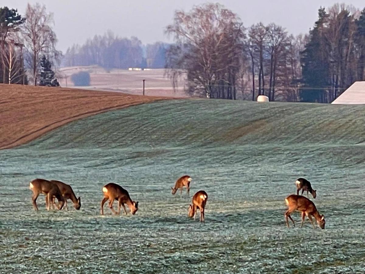 Dolina Sarenek Hotell Sejny Exteriör bild